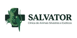Clínica Salvator